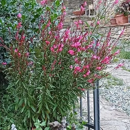 Casa Galla Frühstückspension Ovada